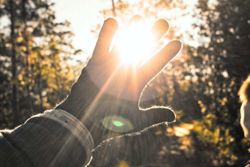 person's left hand wearing black glove