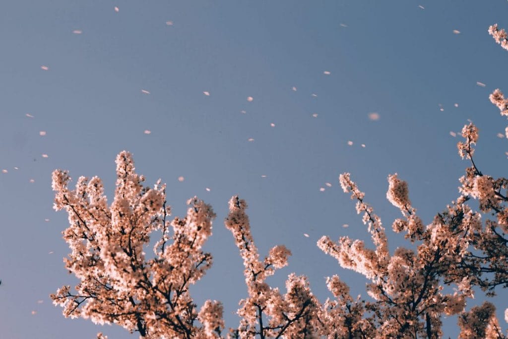 air purifier can help to remove particles from the air