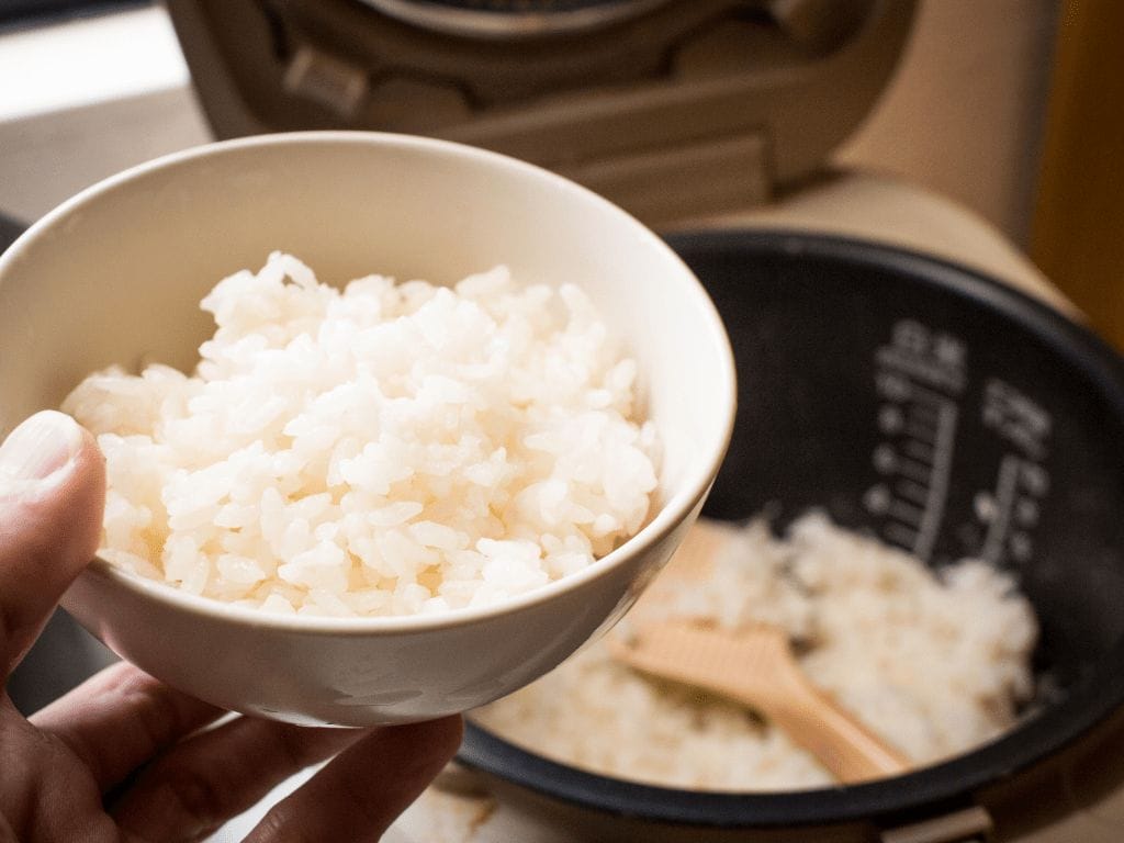 best rice cooker for sticky rice