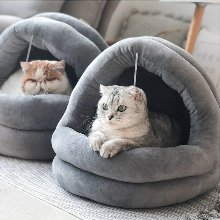 cuddle beds for cats