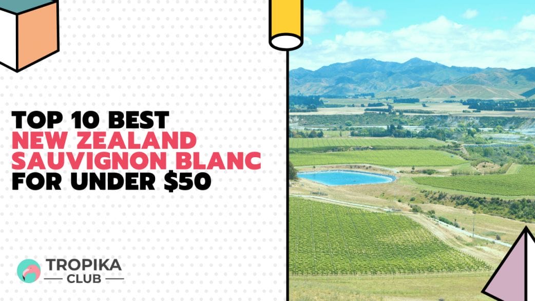 Best New Zealand Sauvignon Blanc