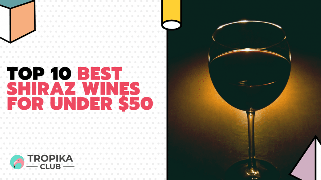 Best Shiraz Wines