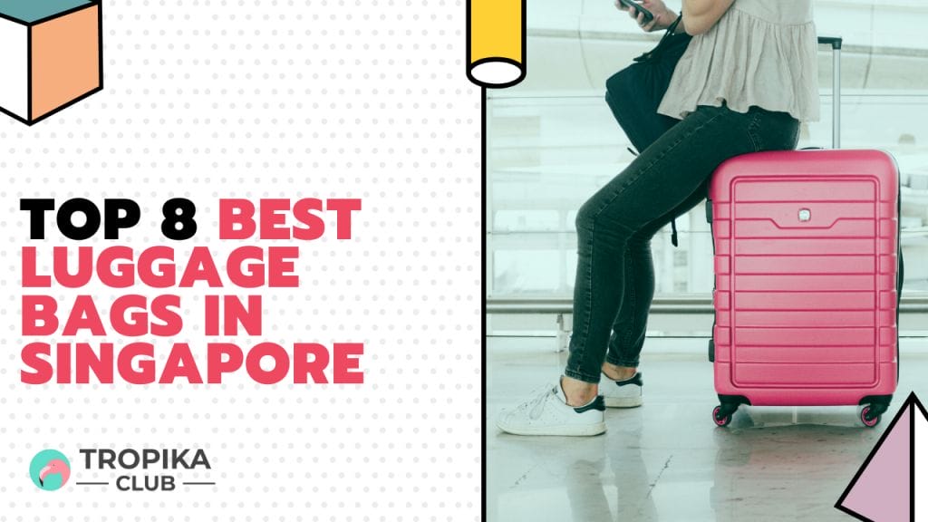 travel luggage bag singapore
