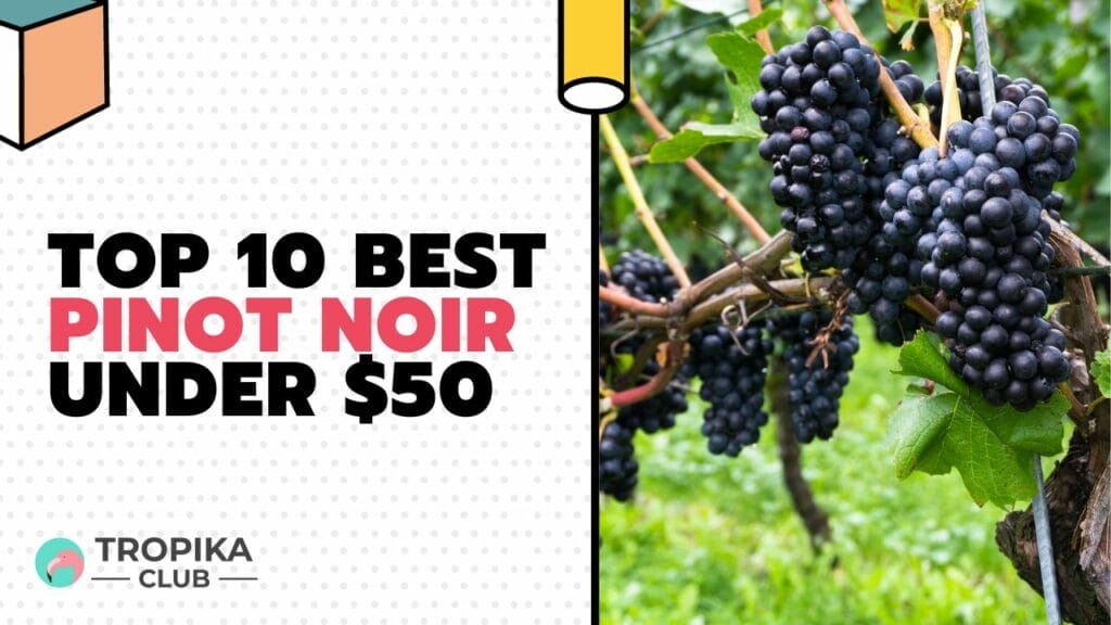 Best Pinot Noir Under $50