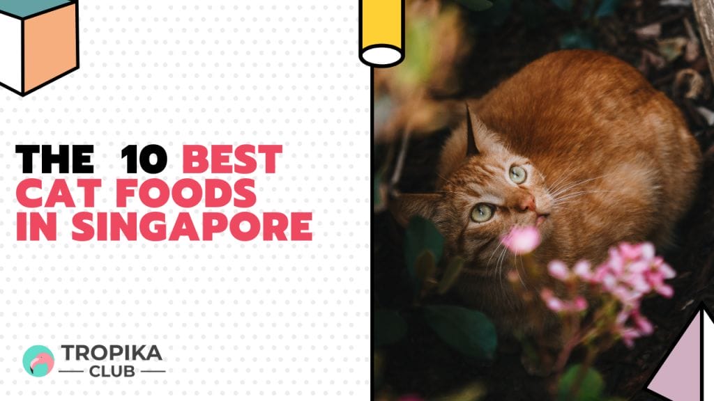 Tropika Thumbnails - best cat food singapore
