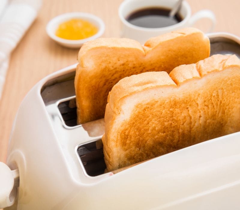 tropika club magazine - best bread toasters in singapore