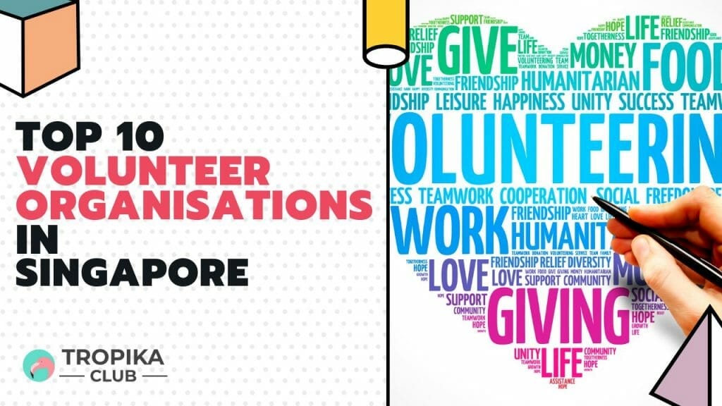 10 Volunteer Organisations