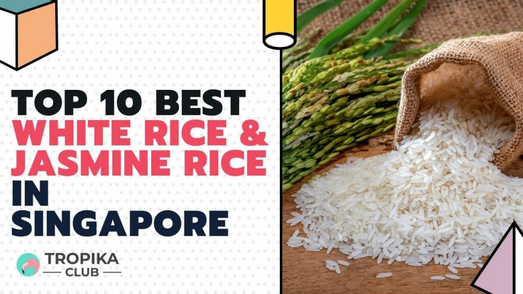 Tropika Club Thumbnails - jasmine rice