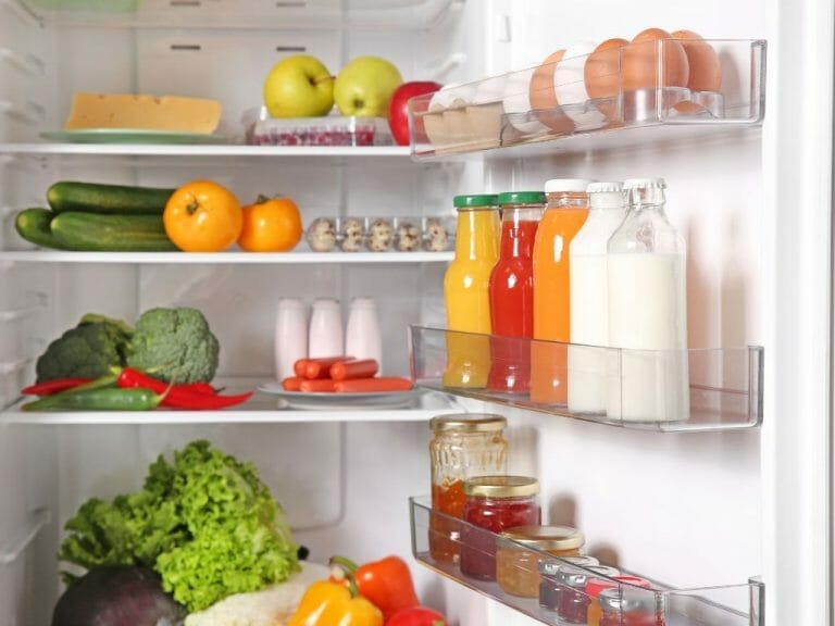 Top 10 Best Refrigerators for Daily Usage