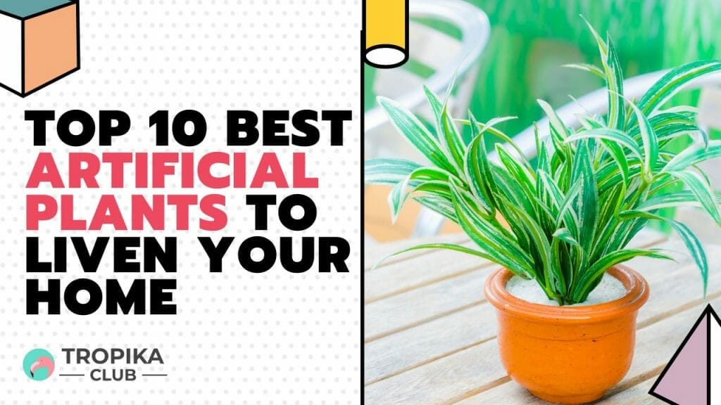 Best Artificial Plants to Liven Your Home