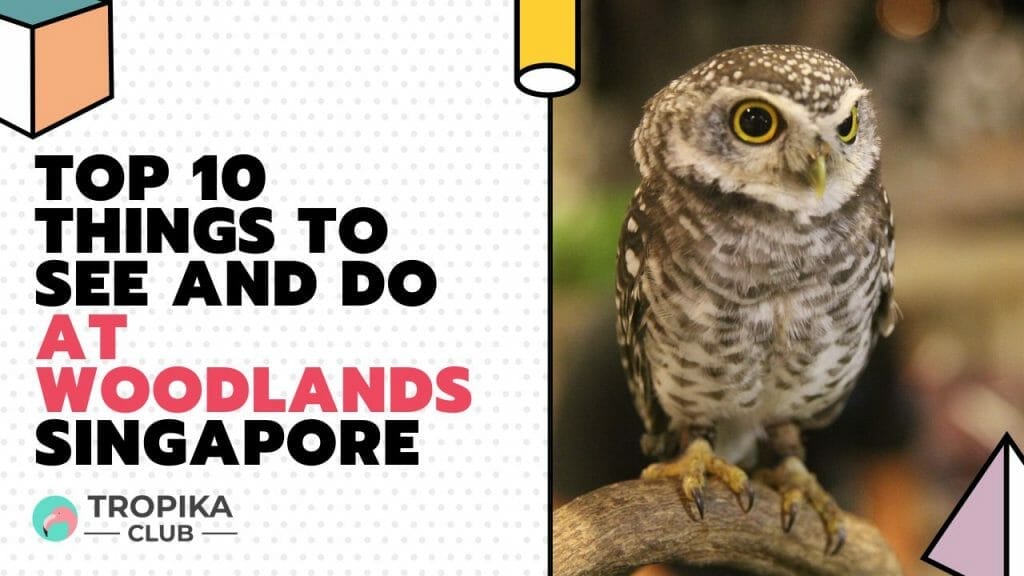 Top 10 Things to See and Do at Woodlands