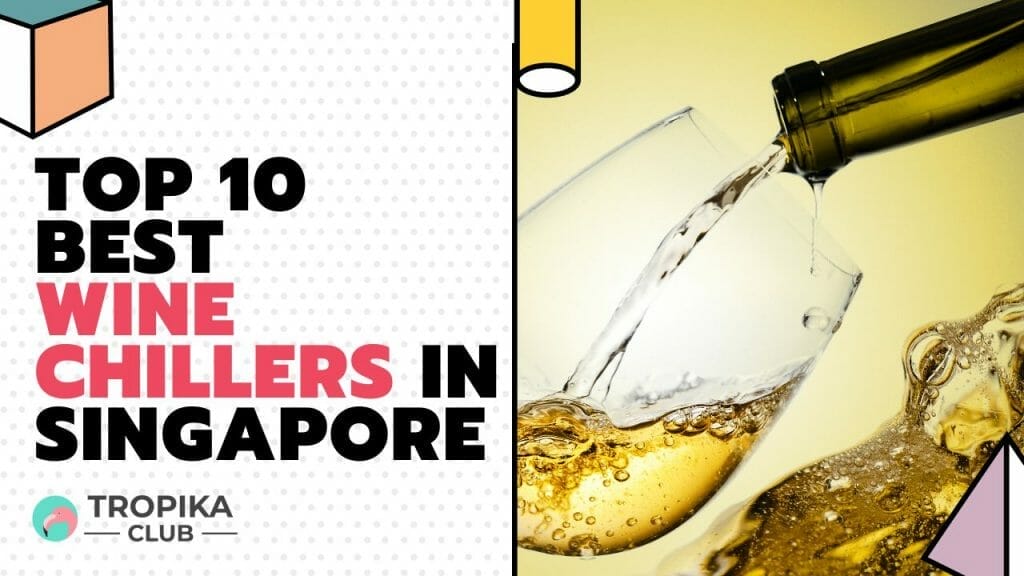 Best Wine Chillers in Singapore