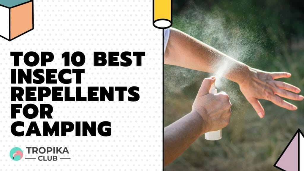 Best Insect Repellents for Camping