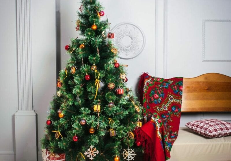 Places to Buy Christmas Trees in Singapore