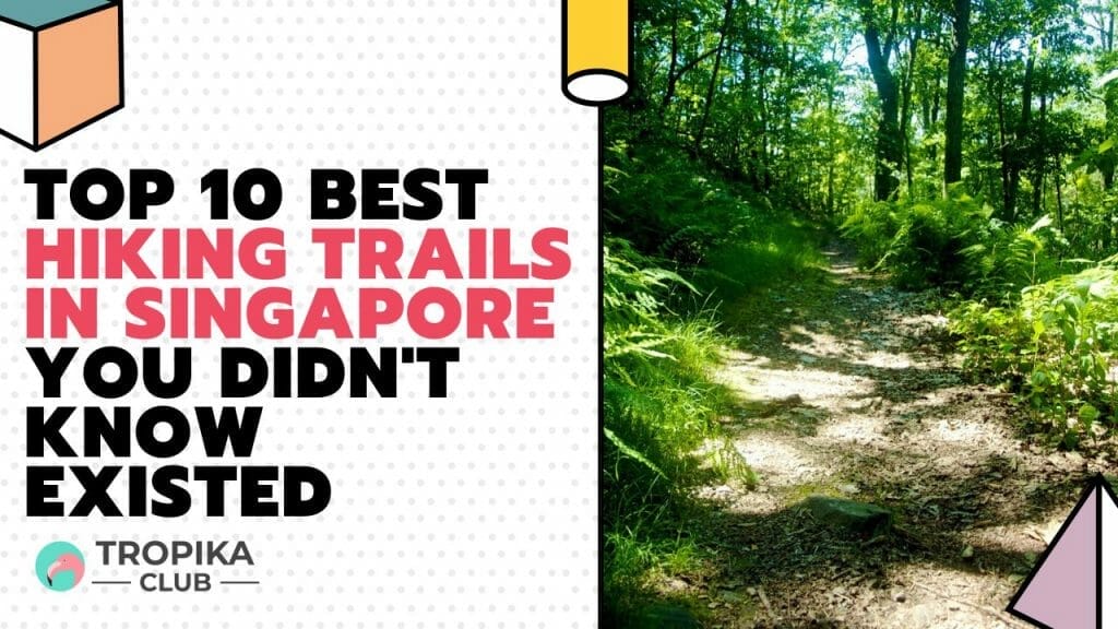 Best Hiking Trails in Singapore