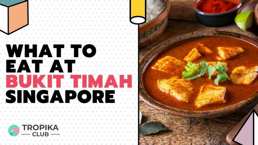 What to Eat at Bukit Timah Singapore