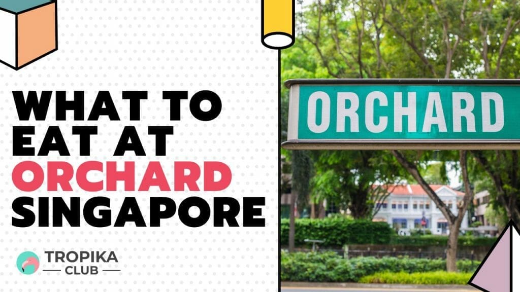 What to Eat at Orchard Road Singapore