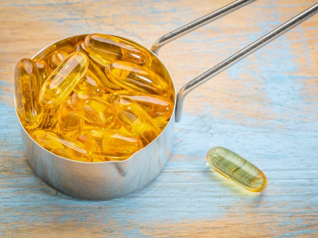 Top 10 Best Fish Oil Supplements for Heart Health