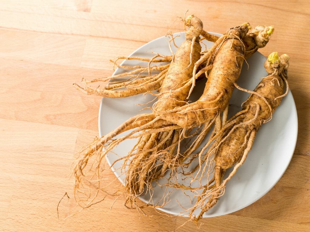 Best ginseng for energy