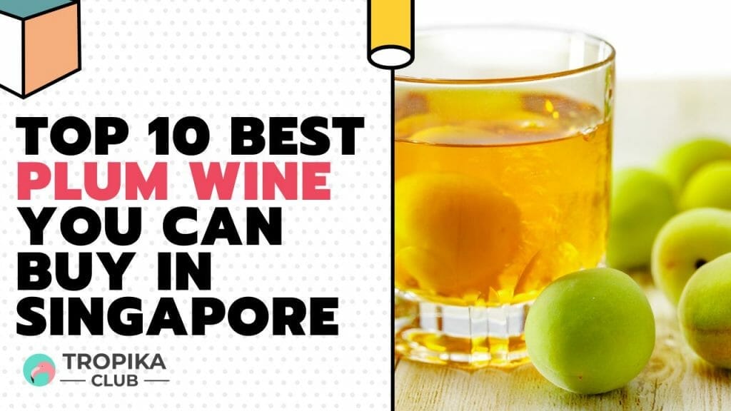  Best Plum Wine You Can Buy in Singapore