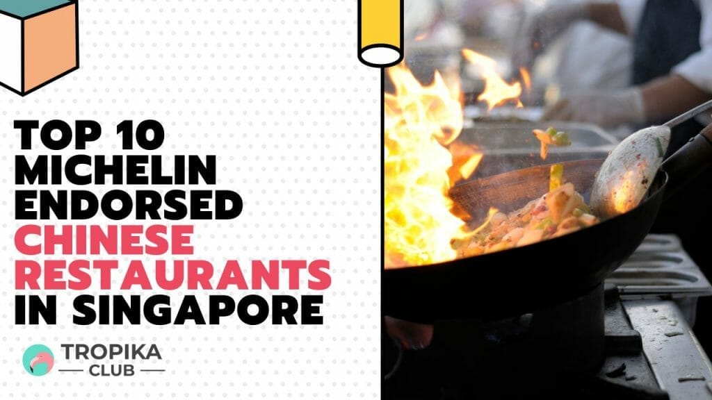 Michelin Endorsed Chinese Restaurants in Singapore