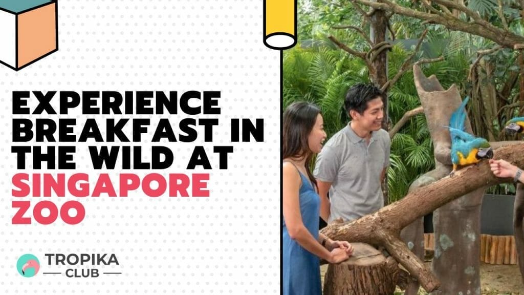   EXPERIENCE BREAKFAST IN THE WILD AT SINGAPORE ZOO