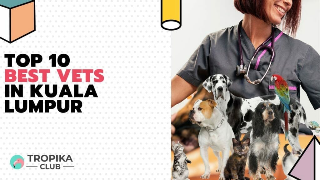 Top 10 Best Vets in Kuala Lumpur