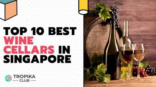 Top 10 Best Wine Cellars in Singapore