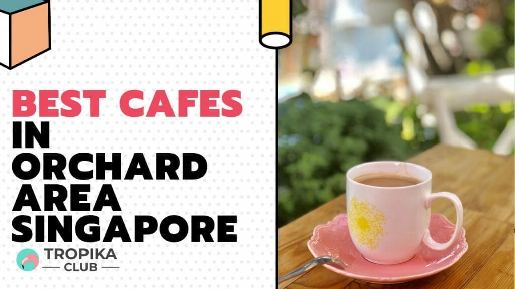 Best Cafes in Orchard Area
