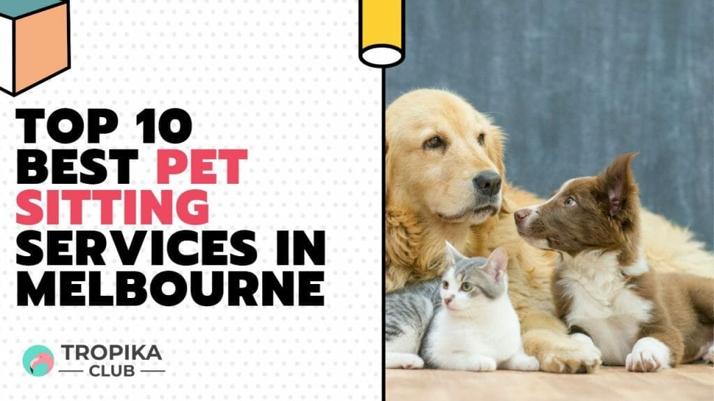  Pet Sitting Services in Melbourne