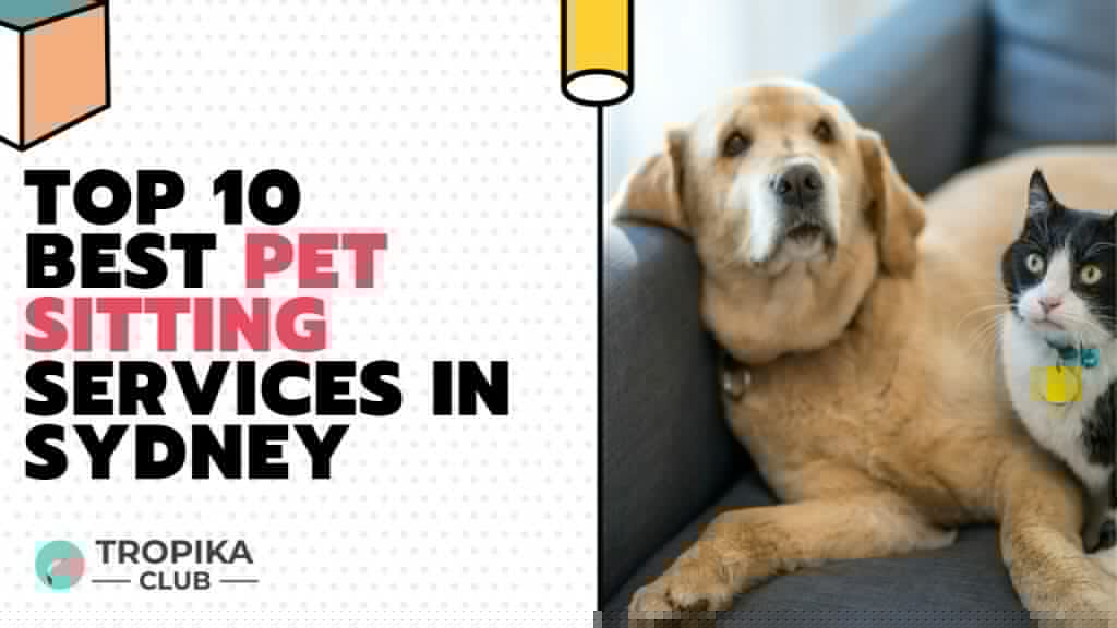 Pet Sitting Services in Sydney