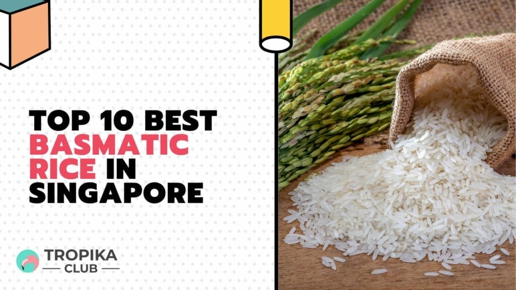 Best Basmatic Rice in Singapore