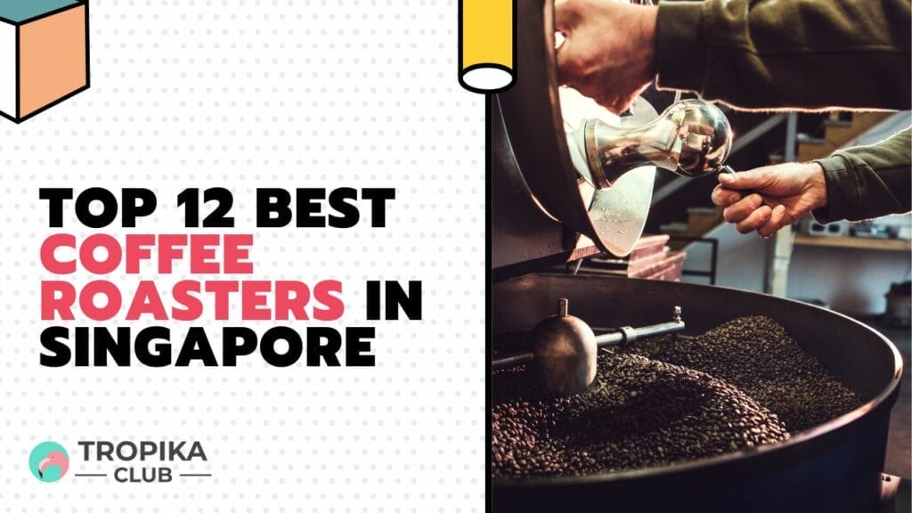 Best Coffee Roasters in Singapore