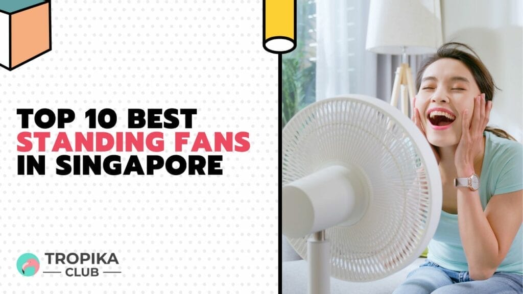 Top 10 Best Standing Fans in Singapore