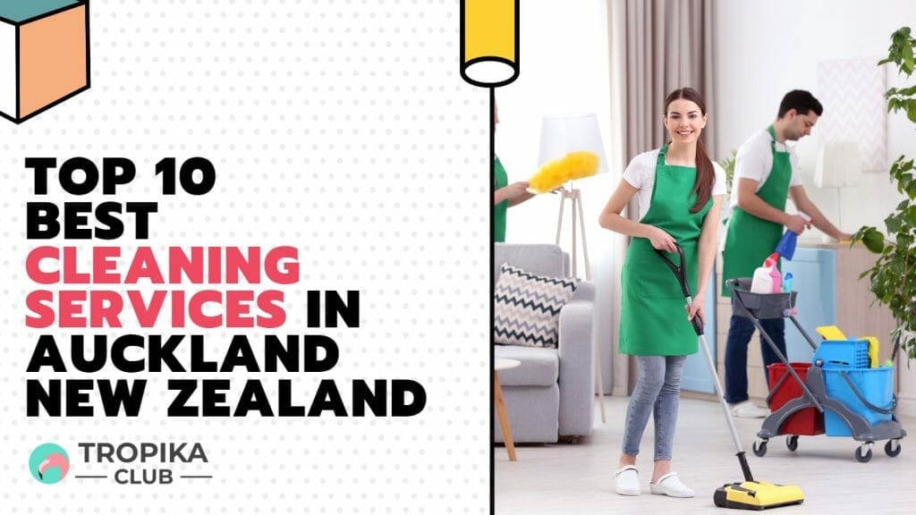 Best Cleaning Services in Auckland New Zealand