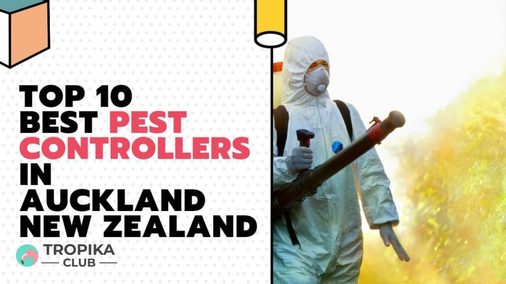 Pest Controllers in Auckland New Zealand