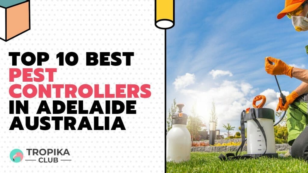 Best Pest Controllers in Adelaide