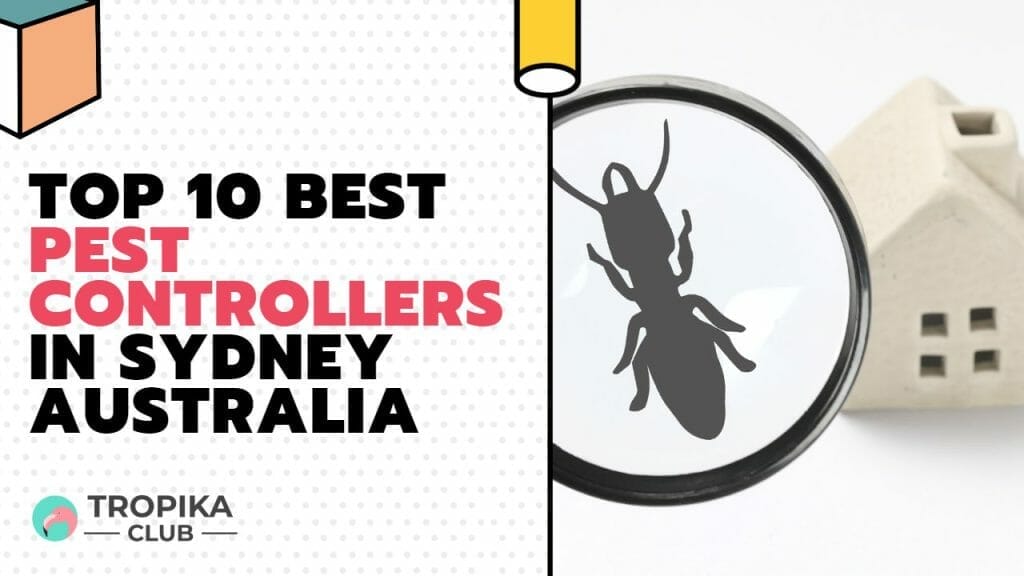 Top 10 Best Pest Controllers in Sydney Australia
