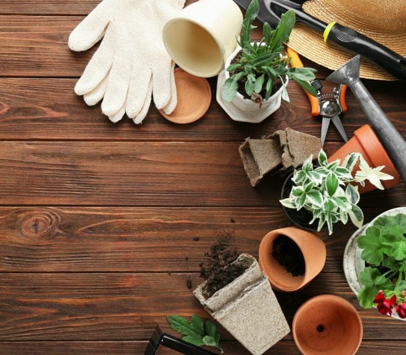Best Landscaping Services in Wellington