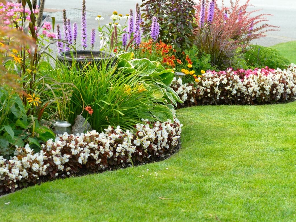 Landscaping Services in Adelaide