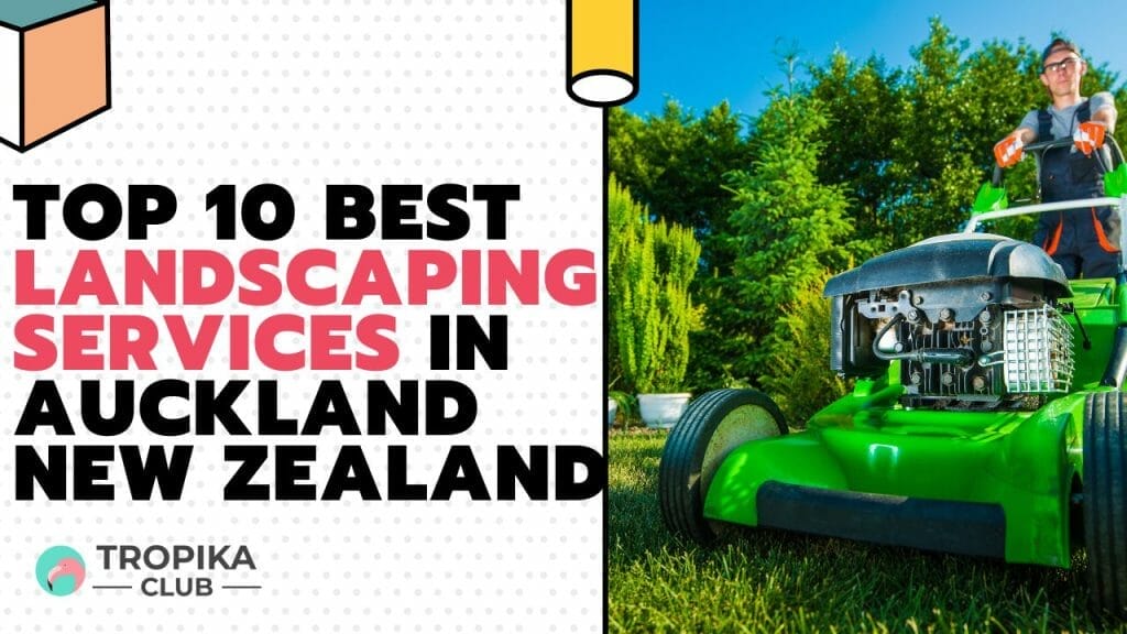 Best Landscaping Services in Auckland