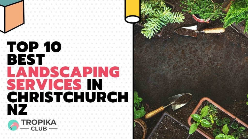 Best Landscaping Services in Christchurch