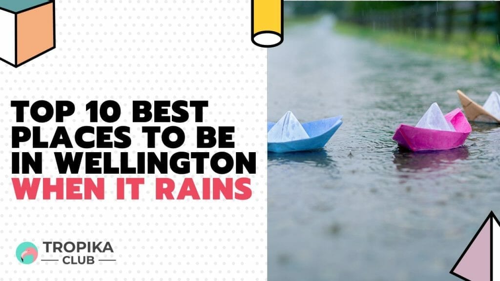 Best Places to be in Wellington when it rains
