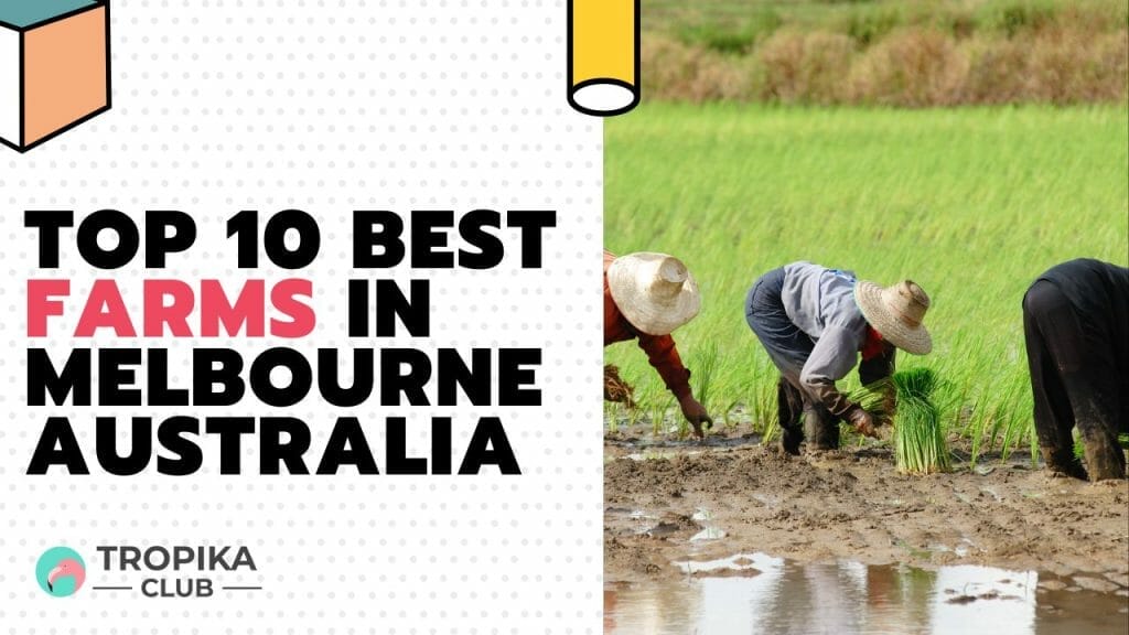Best Farms in Melbourne