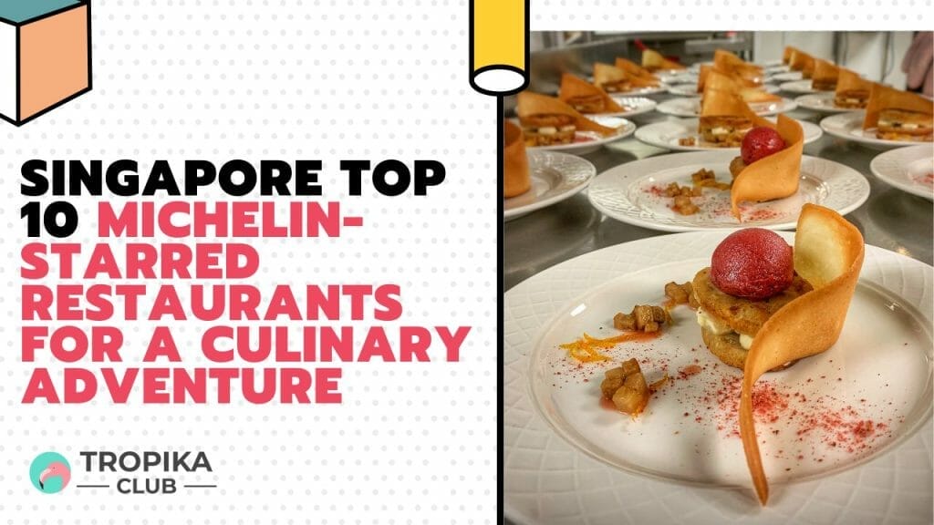 Singapore Michelin-Starred Restaurants for a Culinary Adventure
