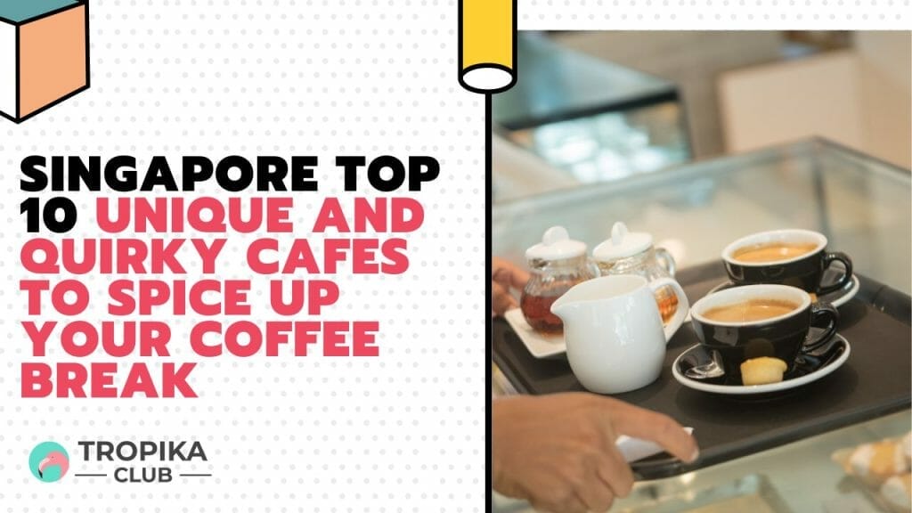 Singapore Unique and Quirky Cafes to Spice Up Your Coffee Break