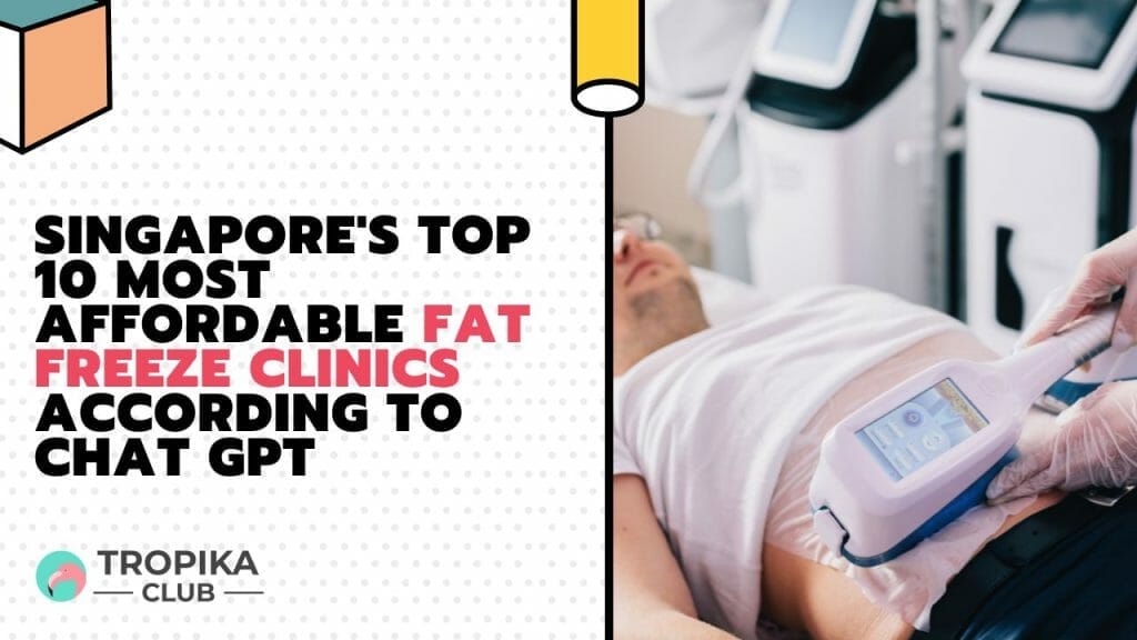 Singapore's Most Affordable Fat Freeze Clinics According to Chat GPT