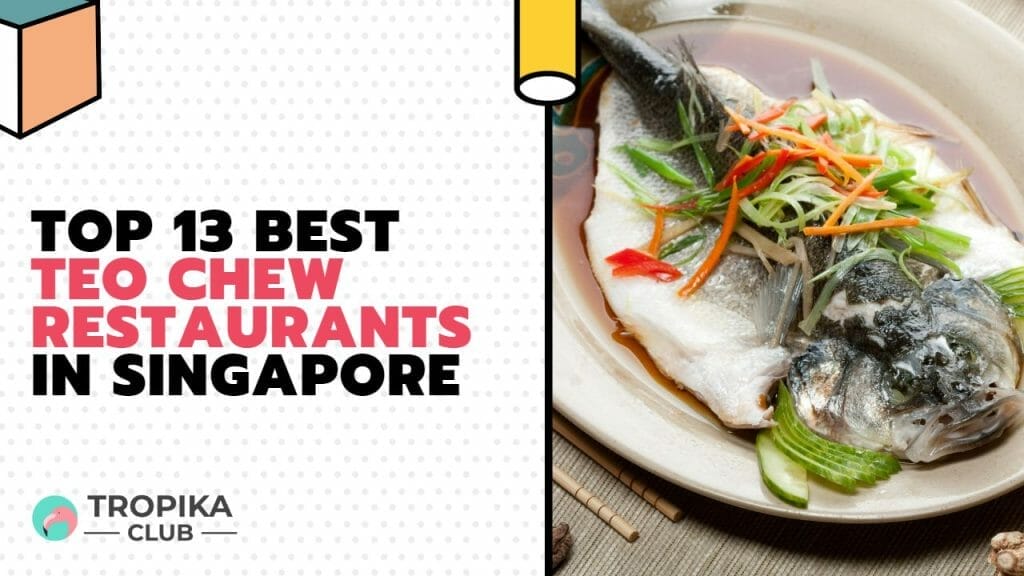 top-13-best-teo-chew-restaurants-in-singapore