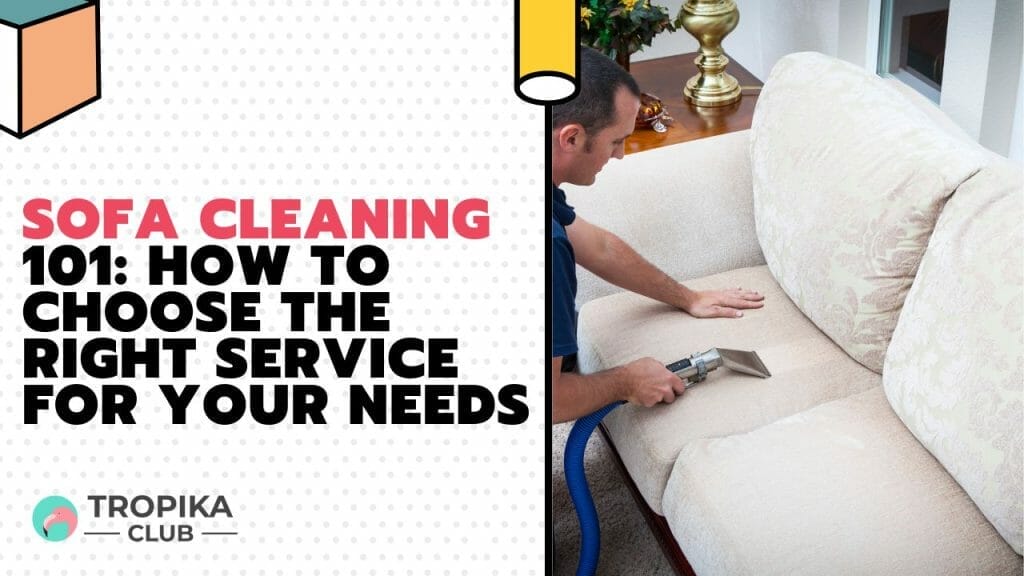 Sofa Cleaning 101 How to Choose the Right Service for Your Needs