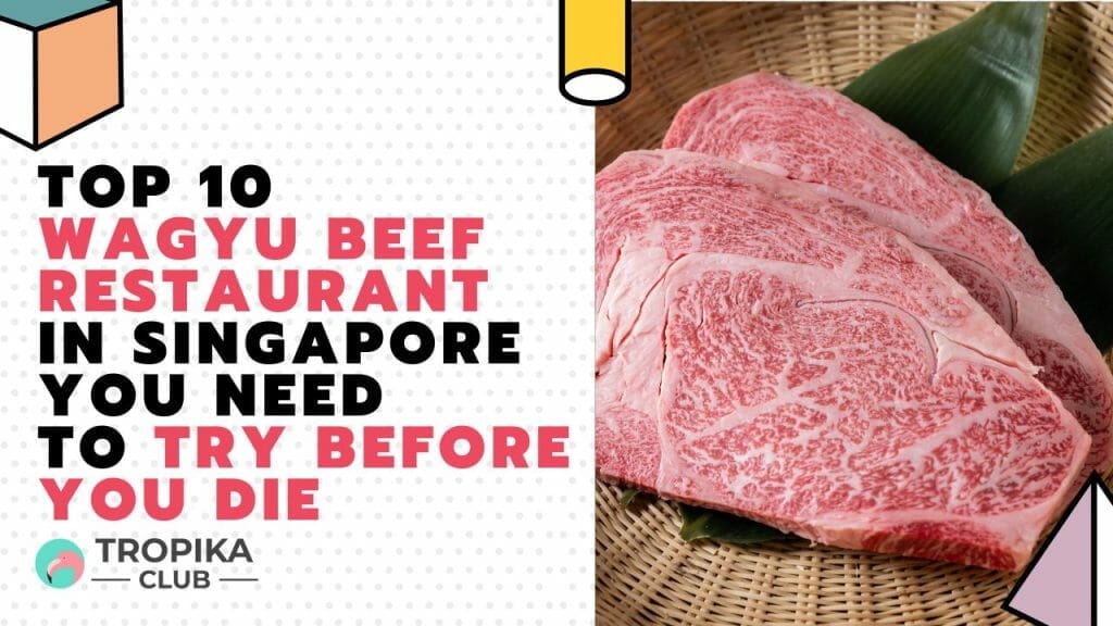 Top Wagyu Beef Restaurant in Singapore t try before you die